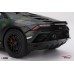 TS0639 - 1/18 LAMBORGHINI HURACAN STERRATO ALL-TERRAIN BOSCO