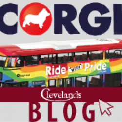 Corgi Blog