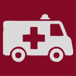 Emergency Vehicles