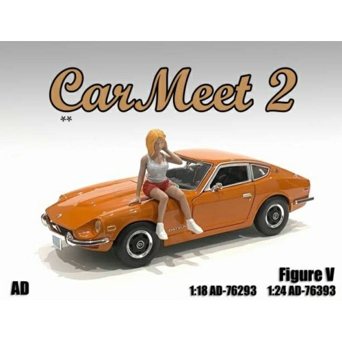 AD76293 - 1/18 CAR MEET II FIGURE V
