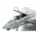 CBW72DC02 - 1/72 F-14 LOW VISIBILITY