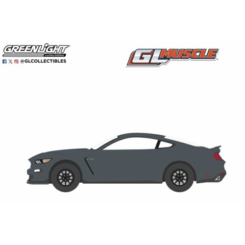 GL13360-F - 1/64 GREENLIGHT MUSCLE SERIES 29 - 2020 FORD SHELBY GT350 - MAGNETIC WITH BLUE STRIPES SOLID PACK
