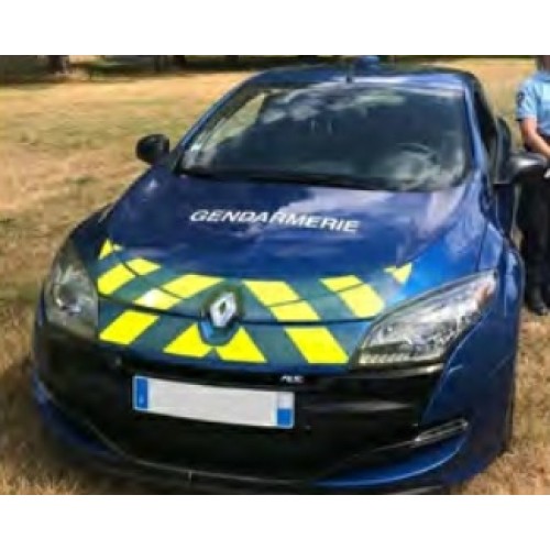 NV517702 - 1/43 RENAULT MEGANE R.S. 2011 GENDARMERIE