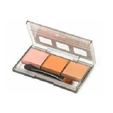 TAM87126 - WEATHERING MASTER G FOR FIGURES