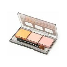 TAM87127 - WEATHERING MASTER H FOR FIGURES