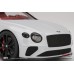 TS0291 - 1/18 BENTLEY CONTINENTAL GT CONVERTIBLE ICE
