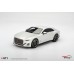 TS0671 - 1/18 BENTLEY BATUR BONNEVILLE PEARL TS0671 - 1/18 BENTLEY BATUR BONNEVILLE PEARL