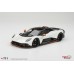 TS0711 - 1/18 ASTON MARTIN VALHALLA LUNAR WHITE
