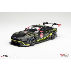TS0730 - 1/18 FORD MUSTANG GT3 NO.64 FORD MULTIMATIC MOTORSPORTS 2025 IMSA VIR